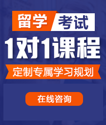 爱爱的视频啊啊啊啊啊啊啊叫床留学考试一对一精品课